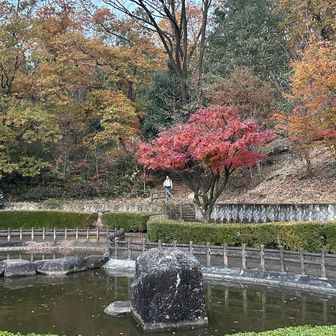 ギリ暗くなる前に戻ってきました。
もう誰もいません😁