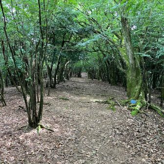 山頂が先にあります。快適、気持ちいい、そよ風吹いて、涼しい❣️