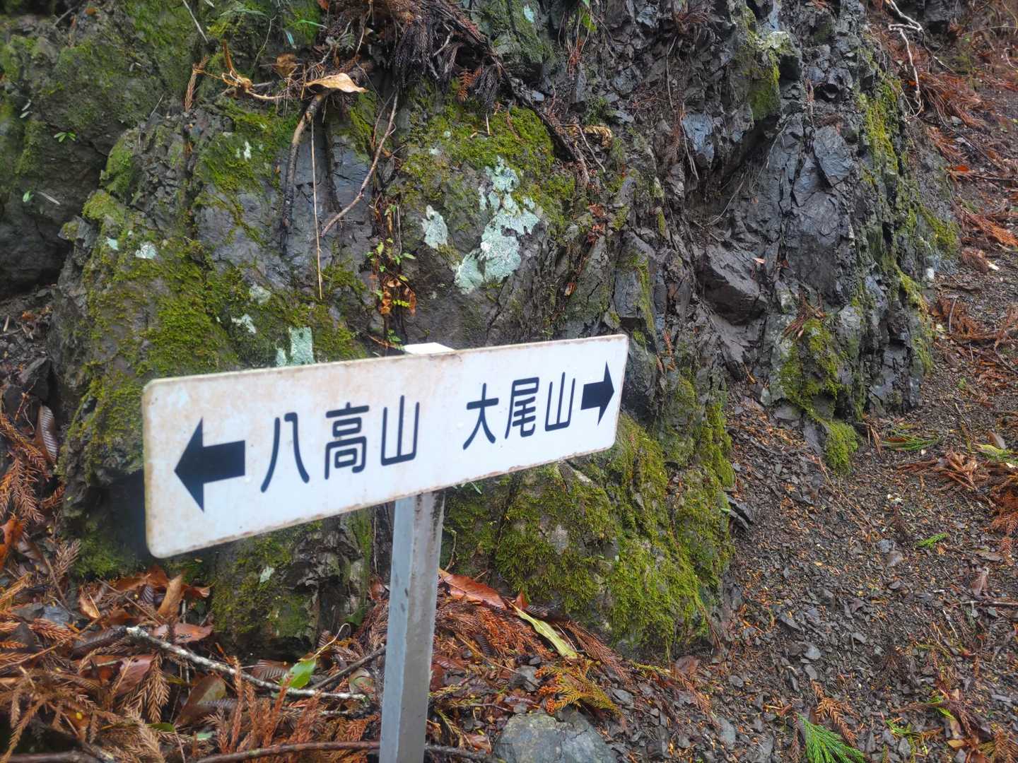 居尻バス停-大尾山 周回コースの写真