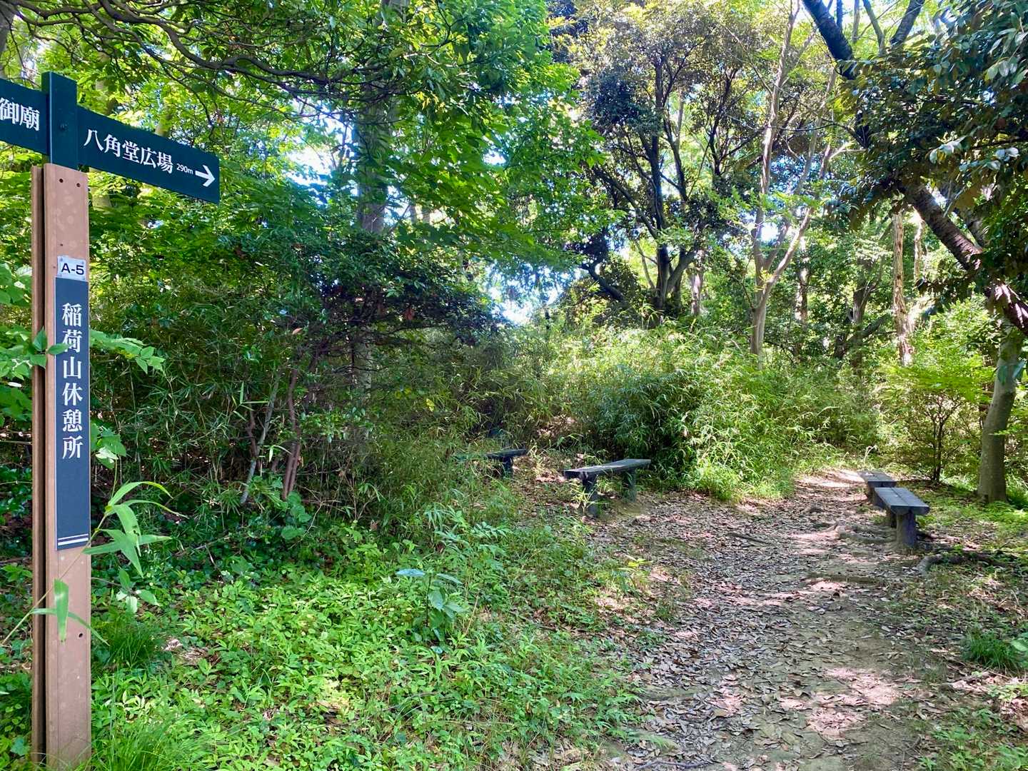 稲荷山のピーク