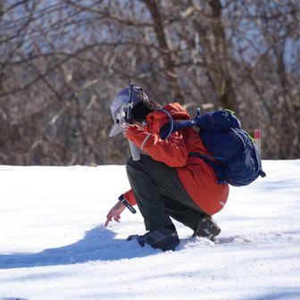 今年初めてまとまった雪に出会いました