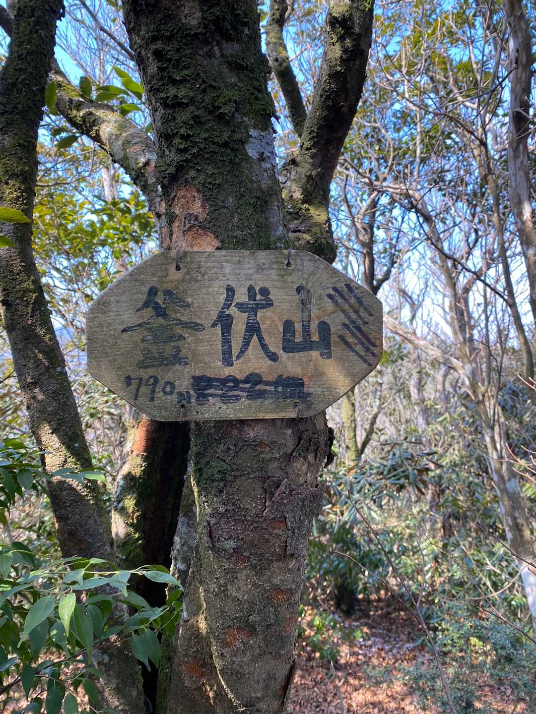 やっとやっと釜伏山⛰
ここでお腹が空いてぐーぐー🥺
最近とにかくお腹が空くんです💦