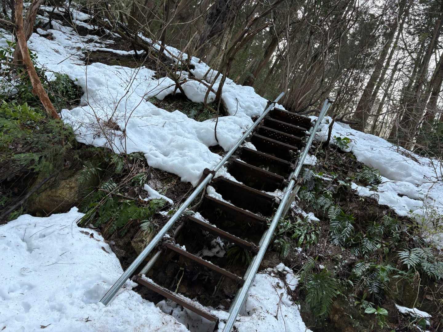 人生の階段も　山の階段も　1歩づつね😚