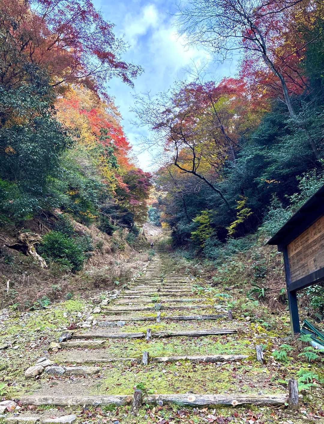 結構長い階段が続きます