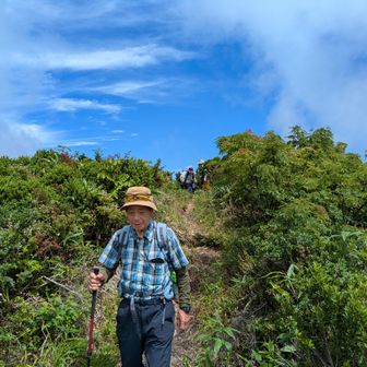 ここからはパーティーの一員として苦手な集団行動　ガヤガヤと歩く　リーダーのM村さん、77か78だったか？お元気