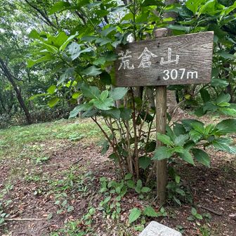 今年３回目の山頂🙌
由良側に🦊が咲いていることを期待し先に進むことに✊