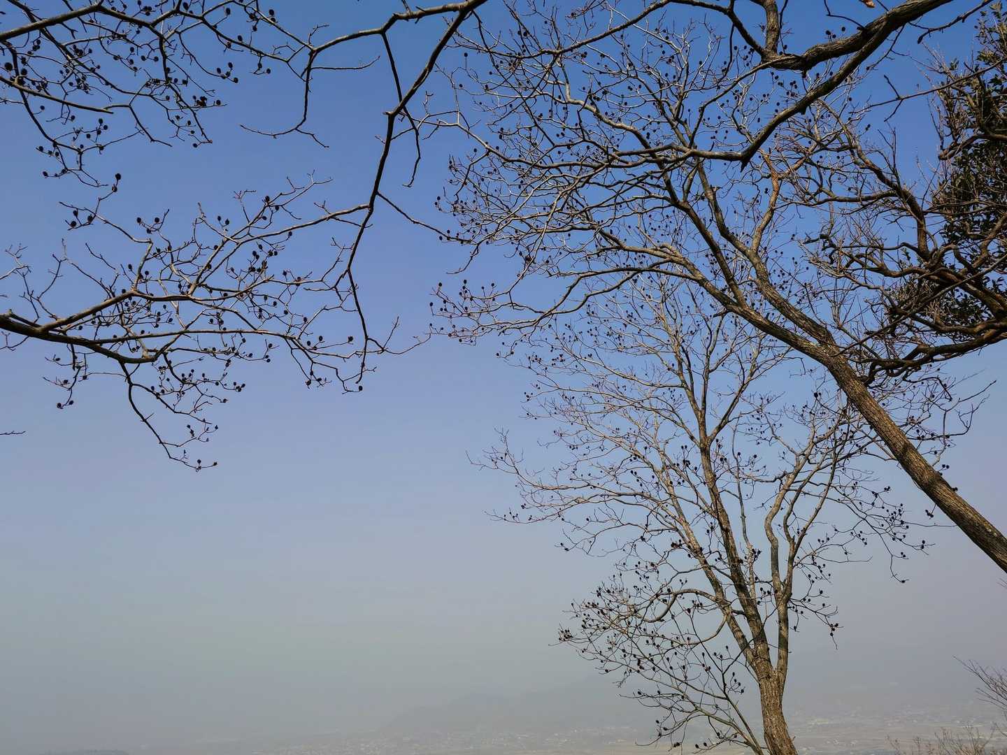 本日1番の青空✨