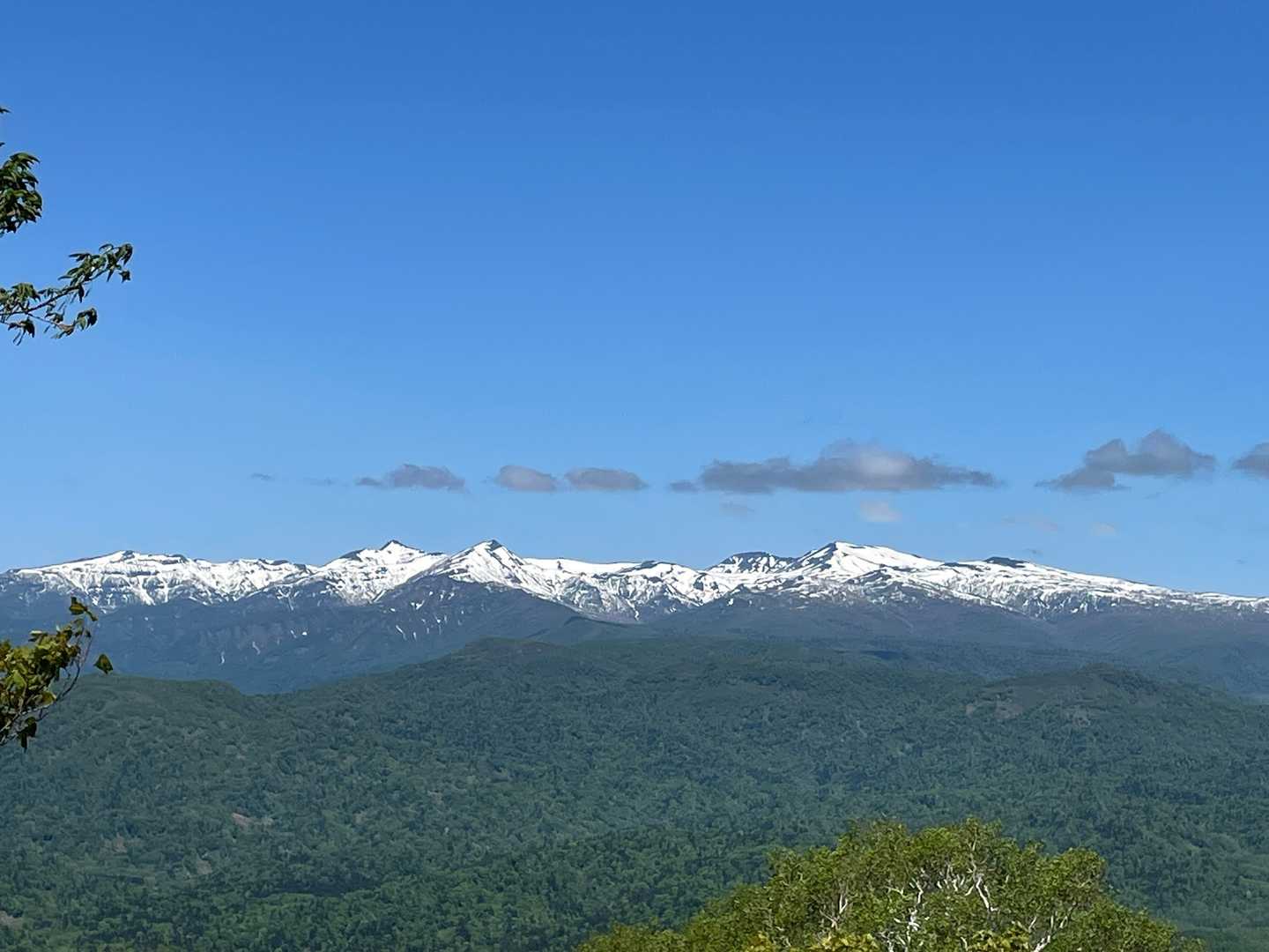 今日はお天気が良く展望も最高！
黄金山が周囲に埋もれています。