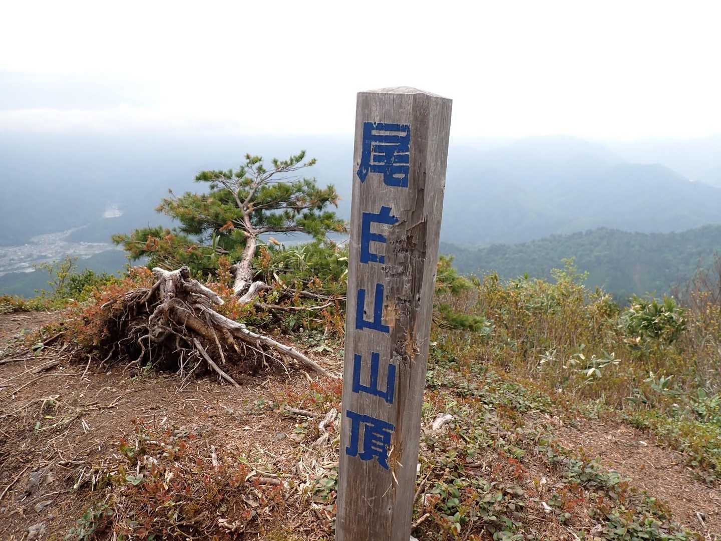 尾白山 往復コースの写真