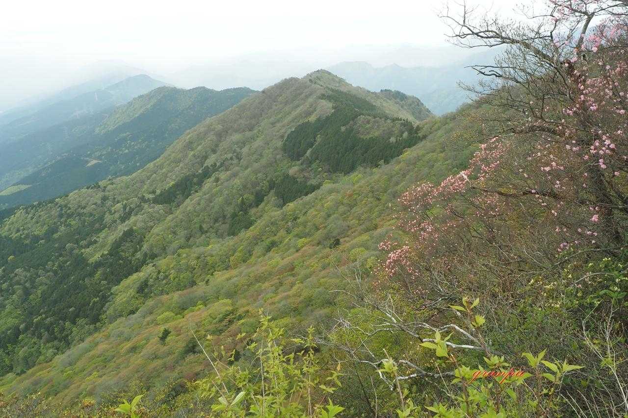 鋸山-七々木山-豊受山 往復コースの写真