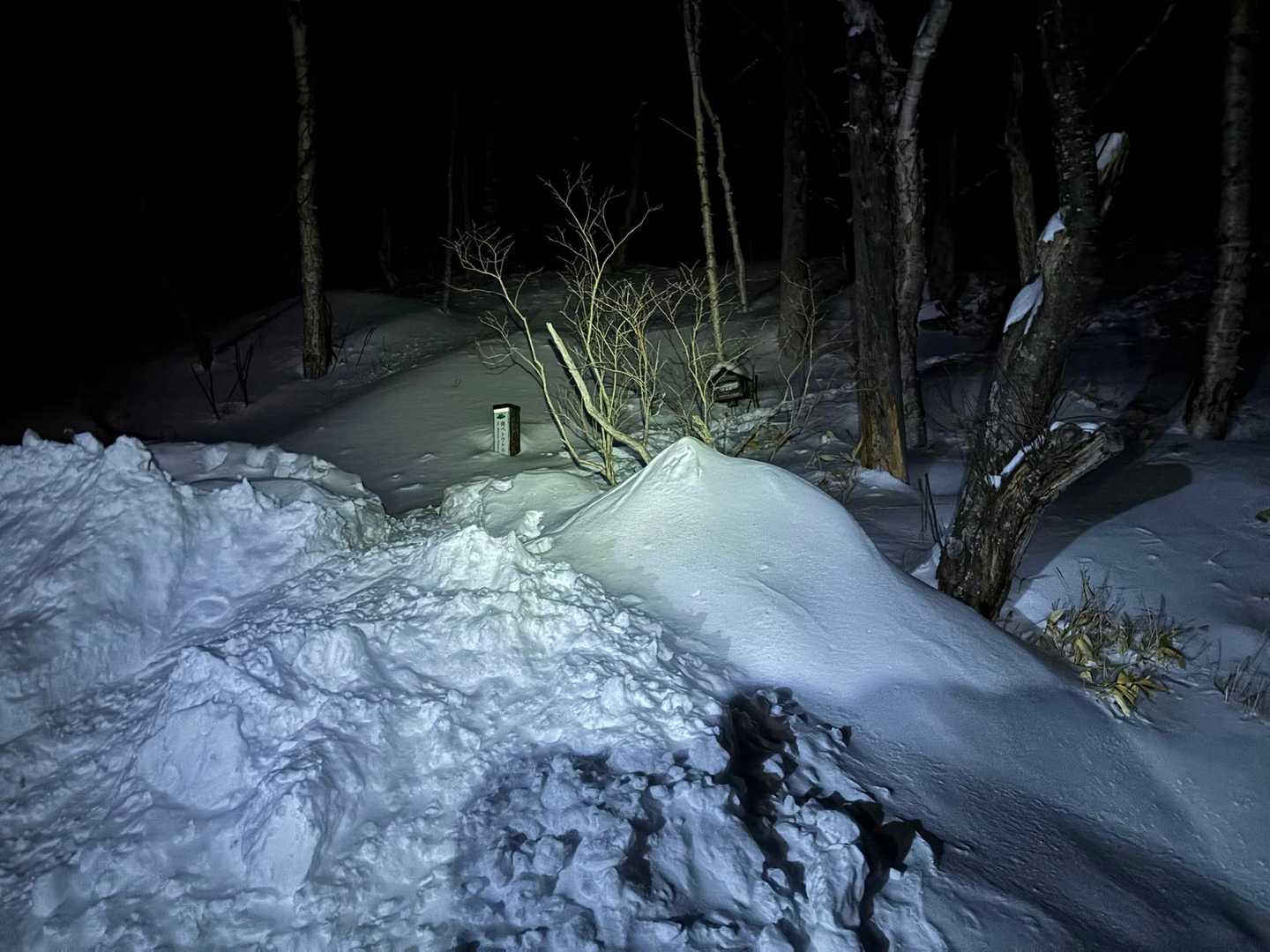 真っ暗の下山　登山口