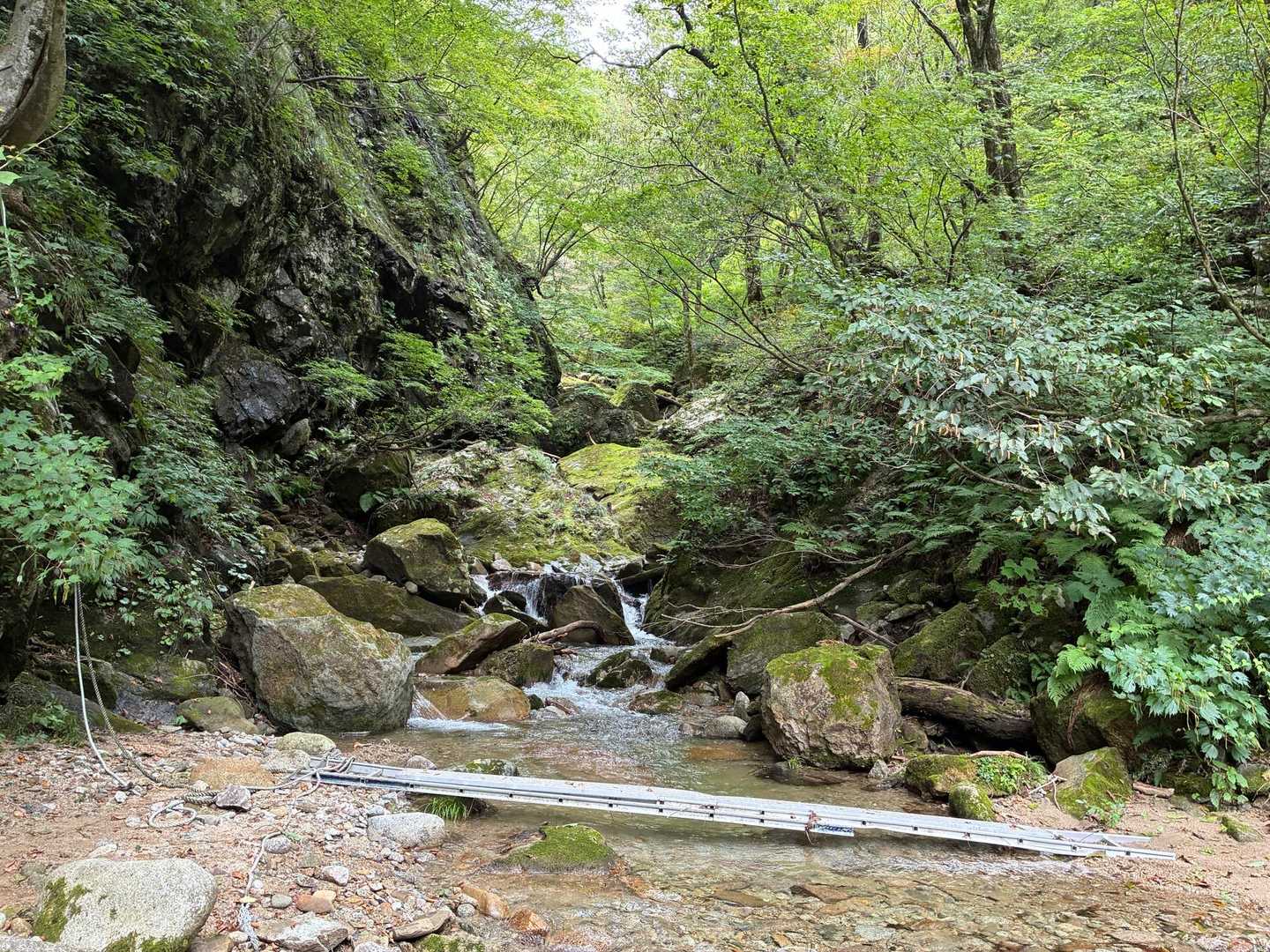 渡渉（ハシゴ橋が渡してある）