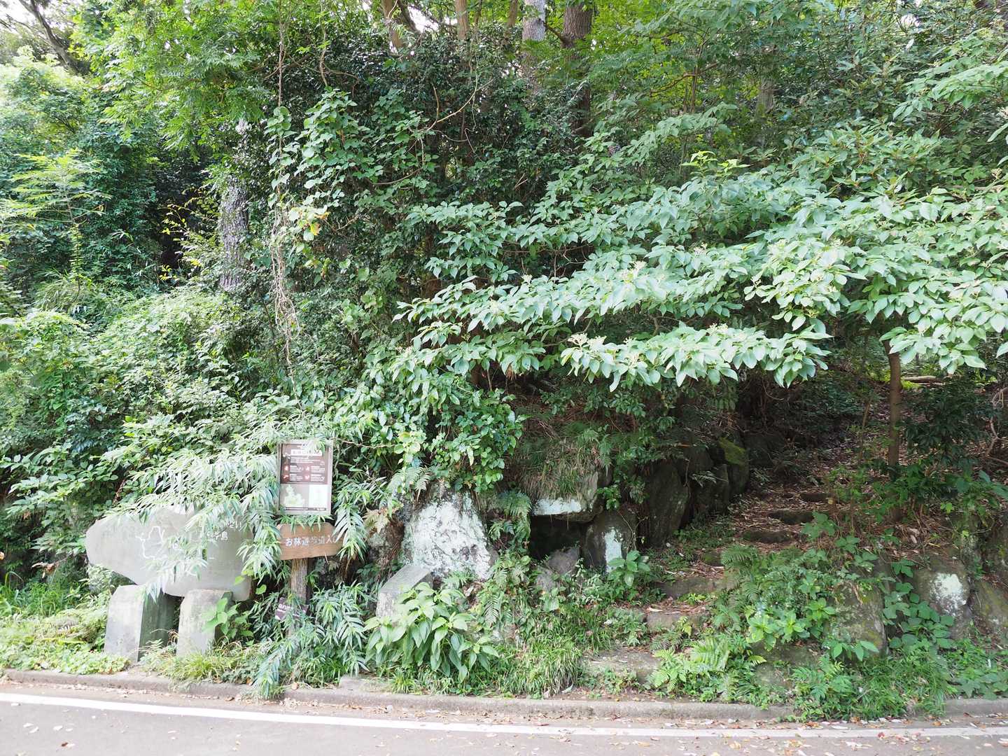 で、ここから灯明山への登山口