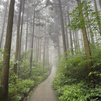 涼しい