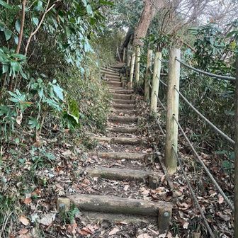 緑地公園はしっかり生い茂る。