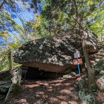 デジスタ、2ポイントゲット👍