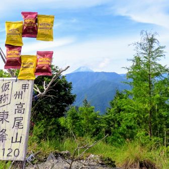 高尾山とカントリーマアム②