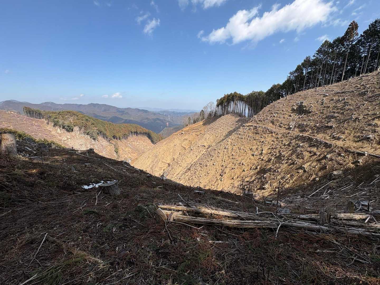 御岳渓谷入口-高峰・日の出山登山口-高峰山-梅野木峠-三室 縦走コースの写真