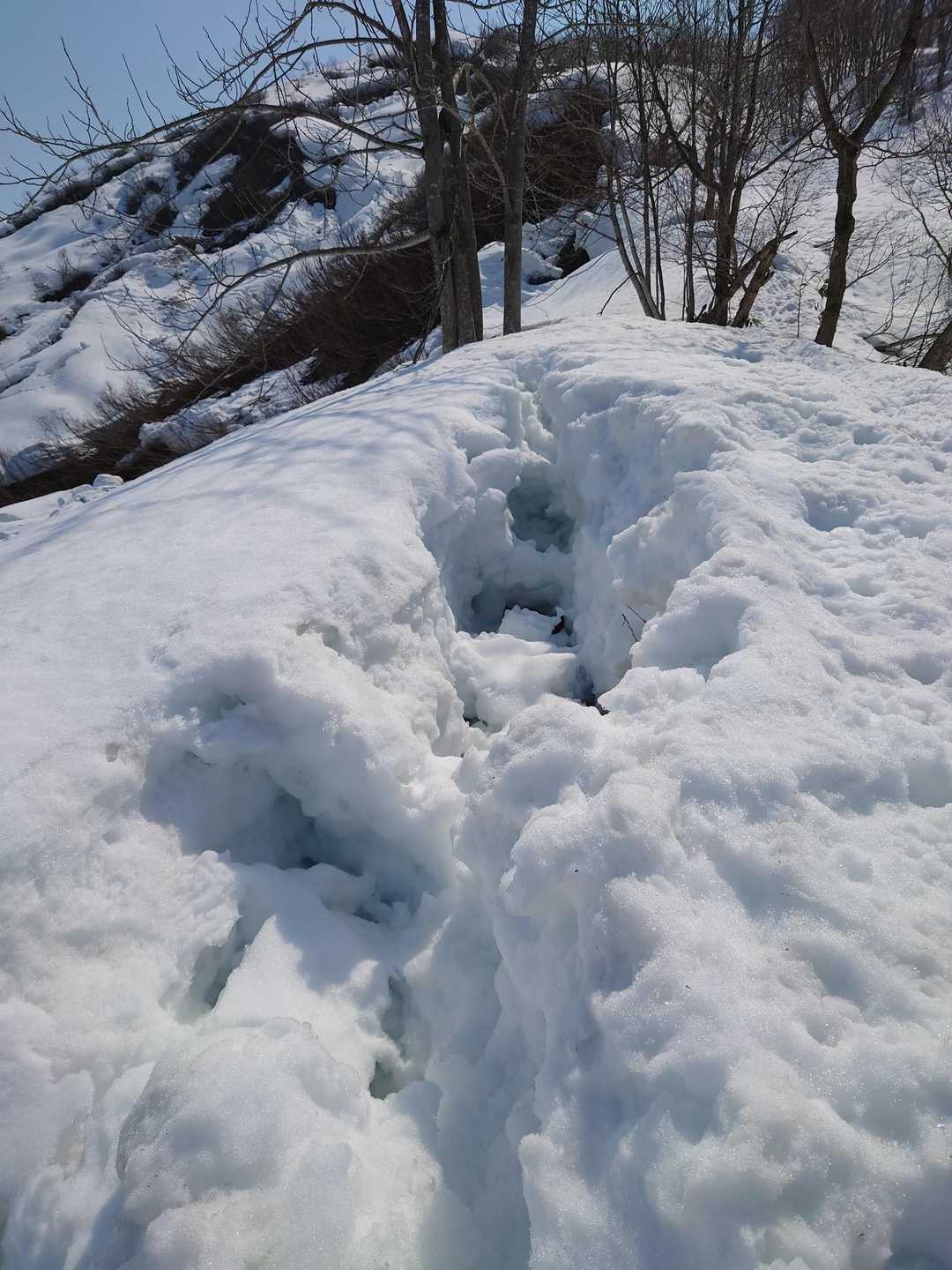 景色に見惚れているとズボッと踏み抜くので注意