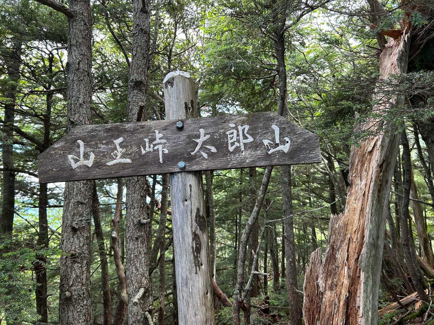 道中にあった道標。
何故か、この道標に励まされた笑