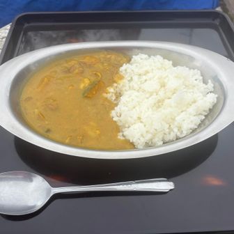 ネパールカレー
これを食べたかったのだ