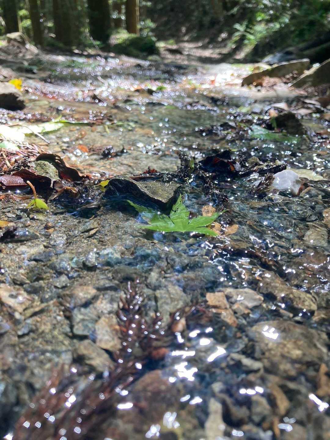 こぼれてきた水の流れ