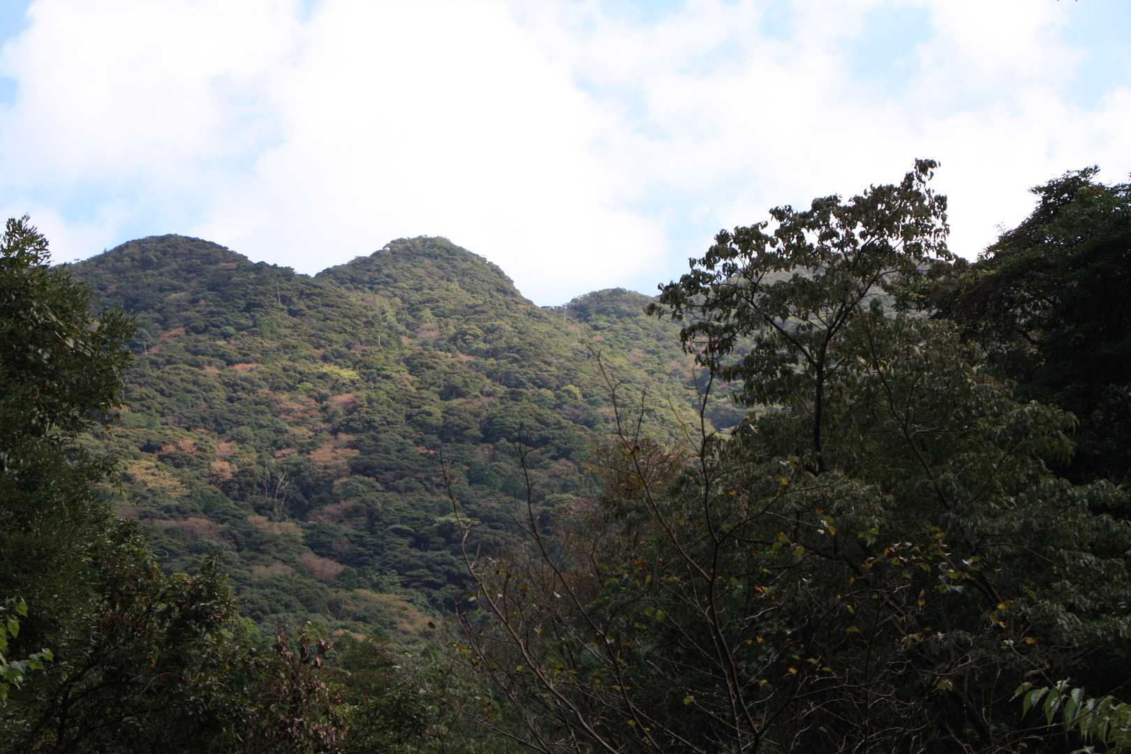 左前山右後ろ山