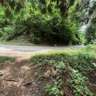 一旦車道に出ます
ここまでの山道は、
暗くて人も少ない(誰もいない)ので、
ちょっとドキドキします