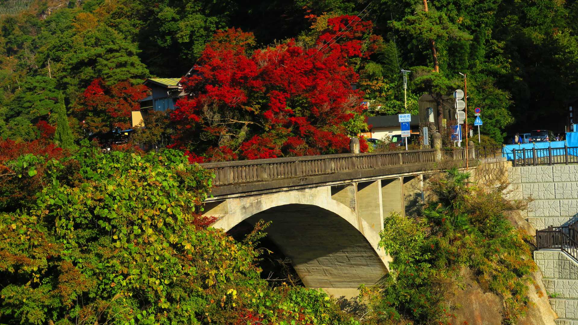 目と鼻の先に朝の長譚橋
一周した☺️
人が多い場所はあったけど、山と紅葉🍁楽しめた❗️