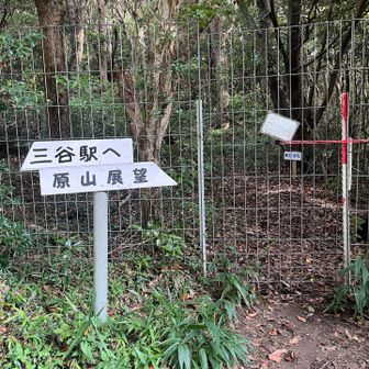 やっと本格的な登山道へ