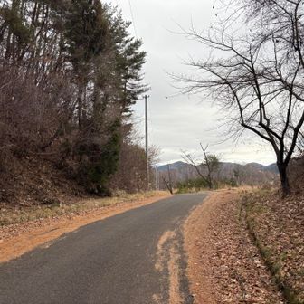 少し舗装道路を歩く