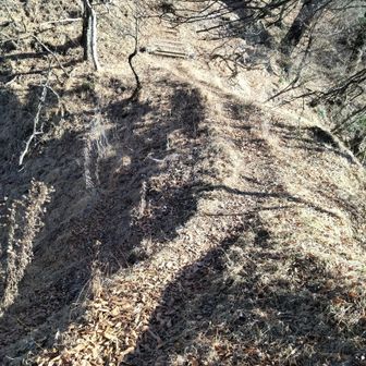 痩せ尾根のお祭りだな😑
この先に本日の核心箇所があるのよね😁