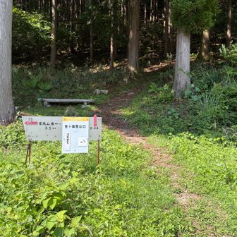 笹ヶ峰南登山口