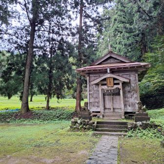 今日は明るい鳥坂神社