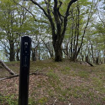 畑尾山山頂。