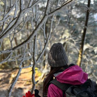 また霧氷の世界へ