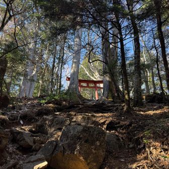 鳥居が見えてきました。