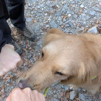 おつかれ〜‼️
ほんとおつかれ〜‼️👊🐶👊