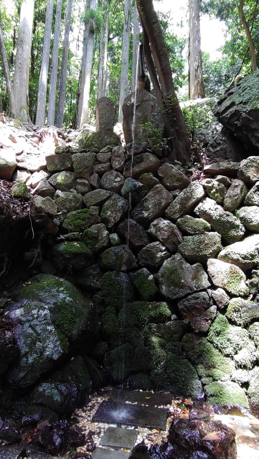 行場みたいです