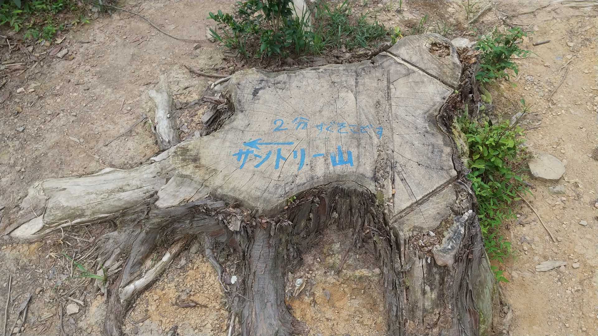 サントリー山はこちら。