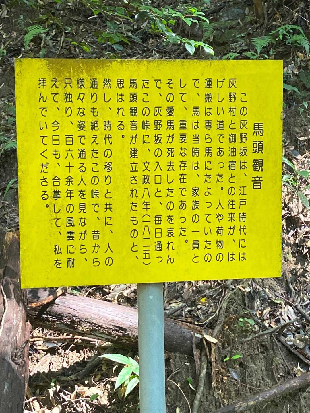 時代の移り変わりを感じます。
(※現代仮名遣いに訂正:思はれる→思われる)