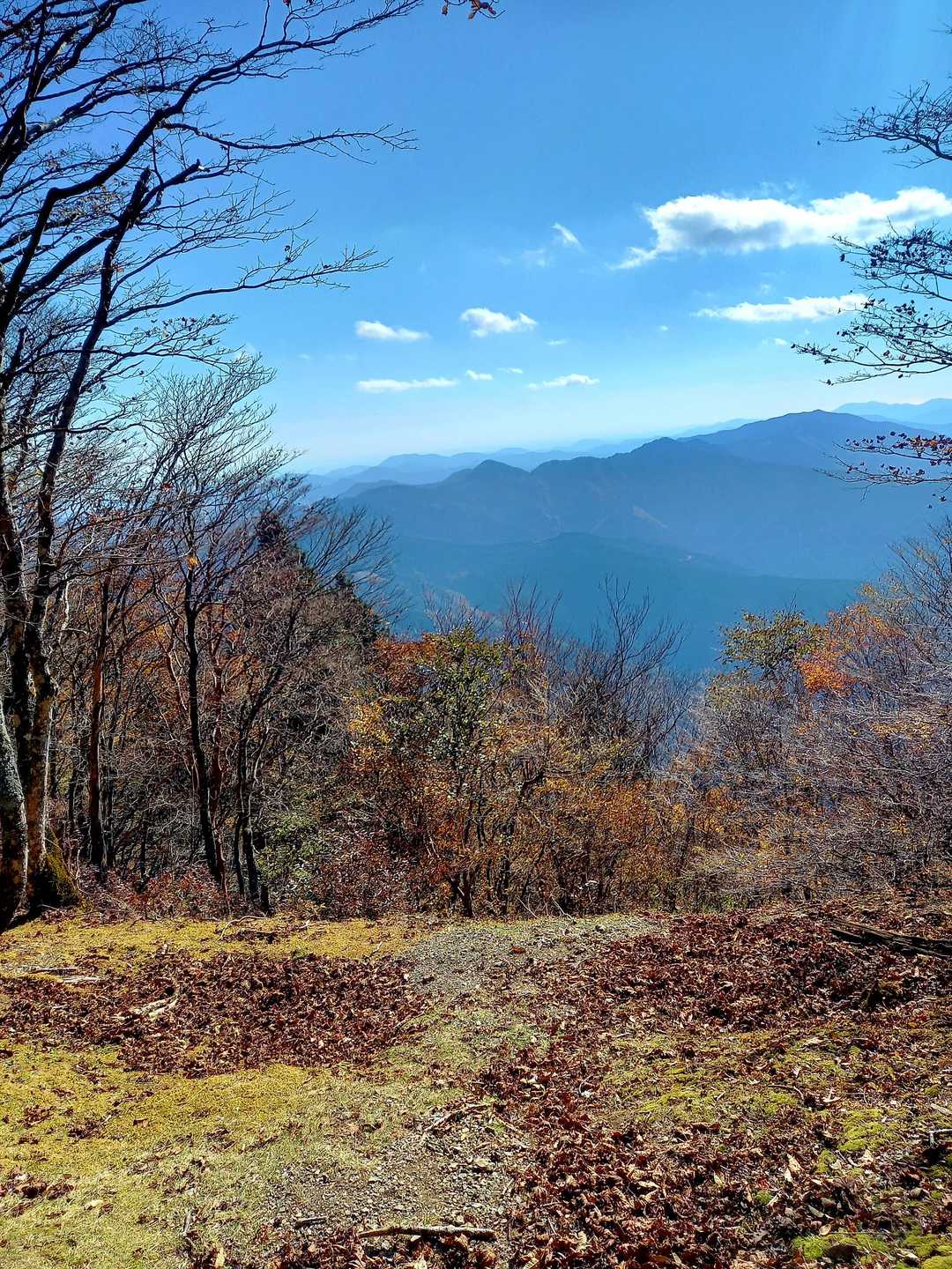 静岡方面かな