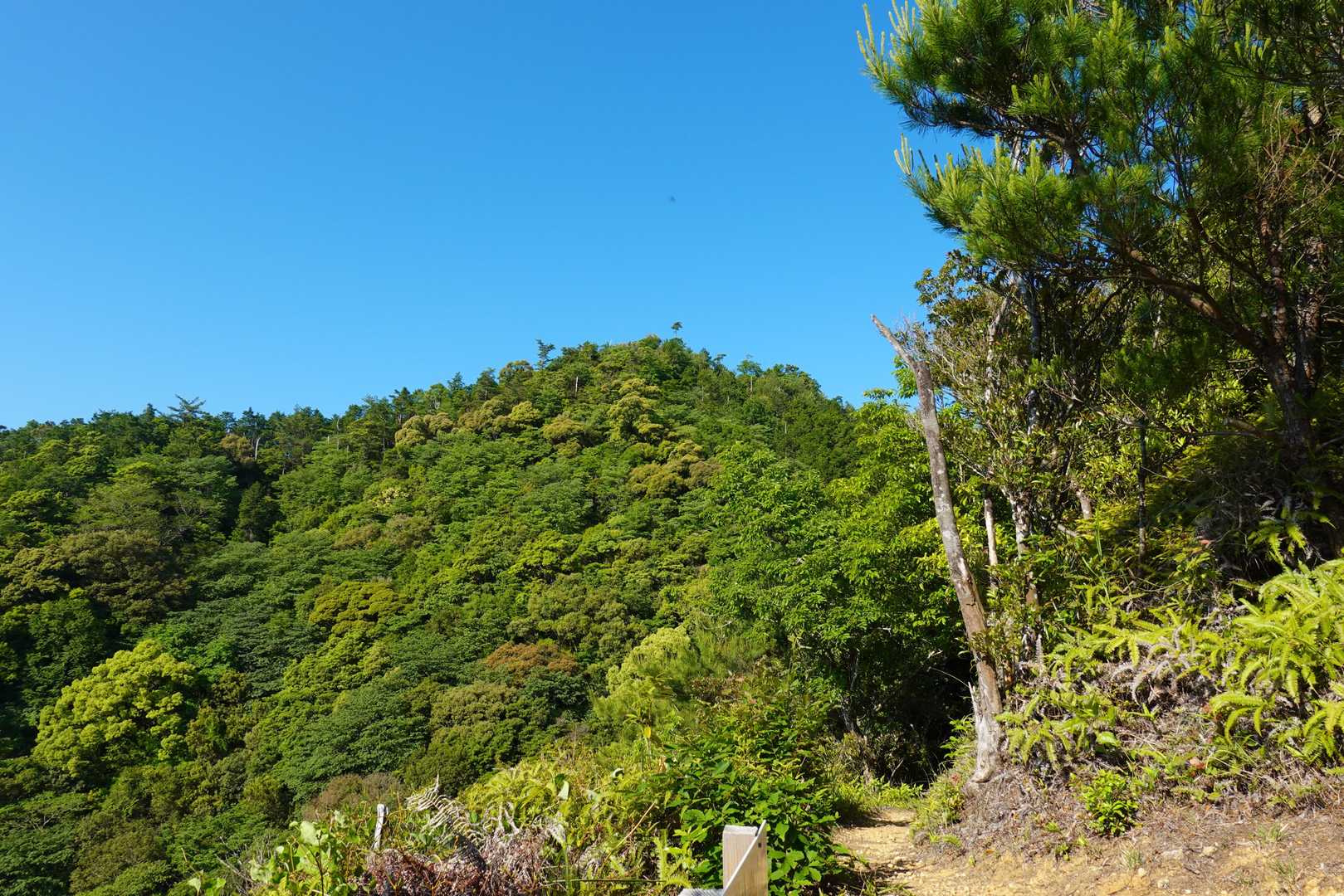 冠岳方向