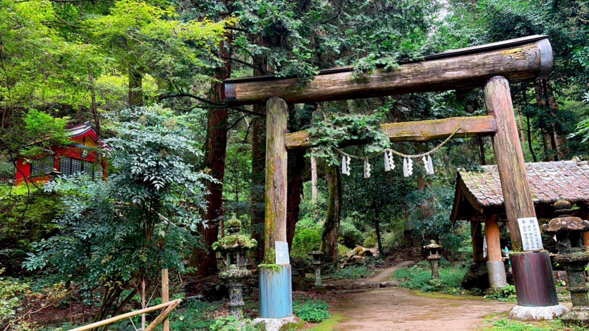 登山口から思ってたけど
雲仙市の岩戸神社に似てるような⛩🙏