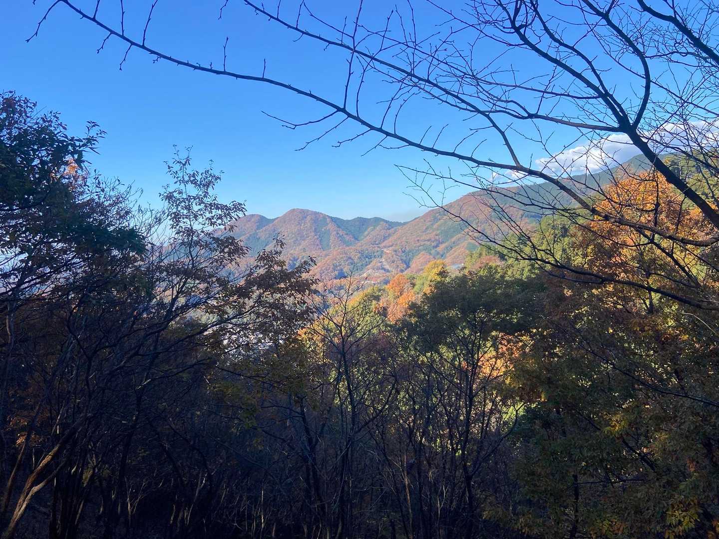 泉龍院口-一色山-金狐山-前仙人ヶ岳雨降山入口-雨降山 往復コースの写真