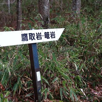 急遽変更しこちらへ進む