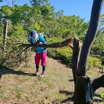 山頂の木、折っちゃいました
って、はじめっから折れてます
