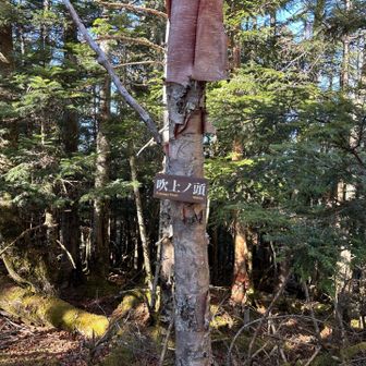 グレーピークの「吹上ノ頭」
正規のルートから外れていますがアクセスは簡単♪