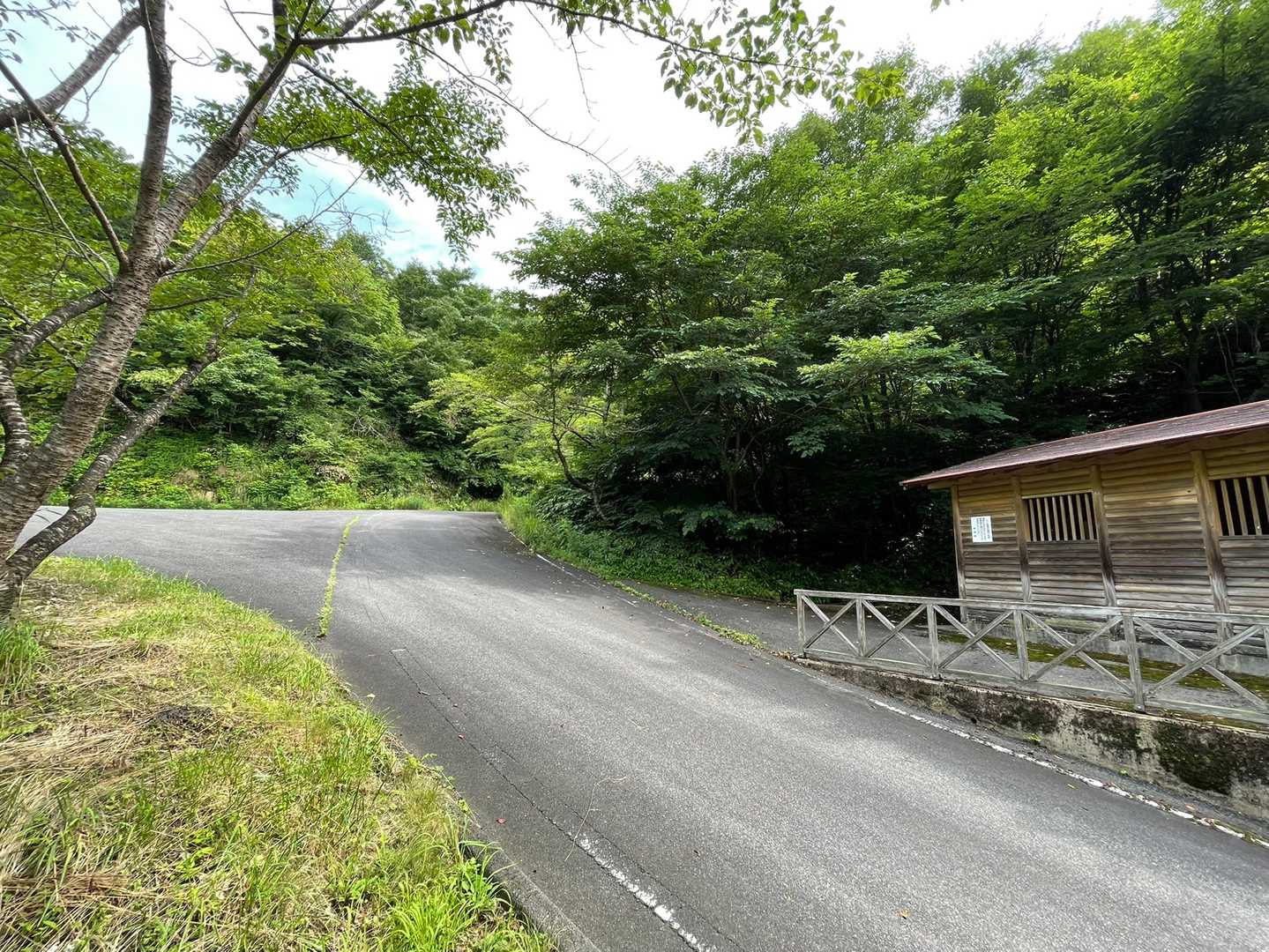 上には駐車場🅿️あり
トイレ🚻もあり
ここから楽に滝に行ける