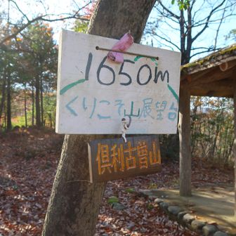 武衛山まで僅か1650mだけど、熊🐻にビビッて戻ります。😅